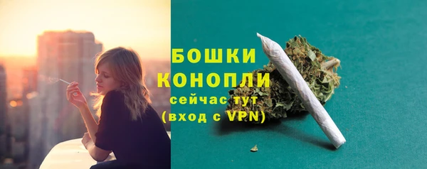 ГАЛЛЮЦИНОГЕННЫЕ ГРИБЫ Балабаново