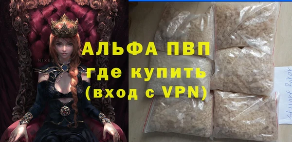 spice Богородск