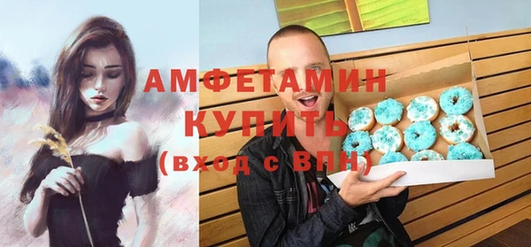 spice Богородск