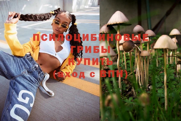 соль курить ск Богородицк