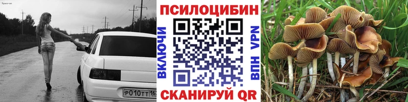 Галлюциногенные грибы мицелий  Бронницы 